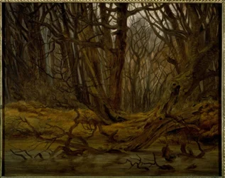 Wald im Spätherbst